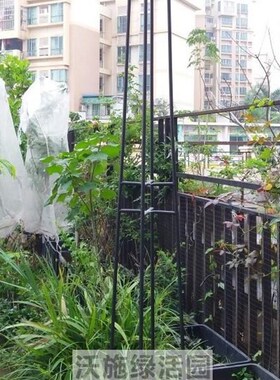 新品包邮蘑菇爬藤架园艺花架庭院花园伞型爬藤花架铁线莲牵牛铁艺