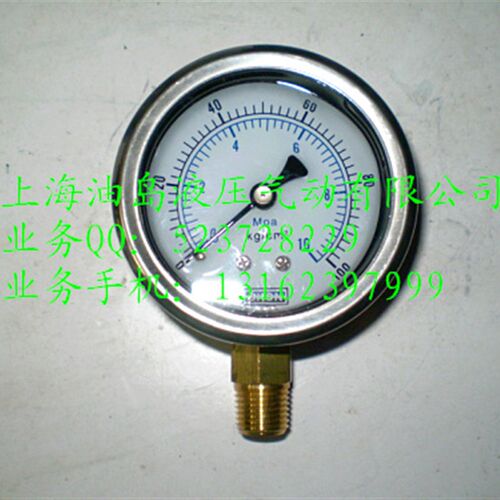 径向压力表 油压 耐震压力表Y60-LA50KG 100KG 150KG 250KG