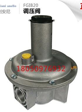 燃气减压阀 稳压阀FG1B15/ FxG1B20 /FG1B25意大利朱利安尼调压阀