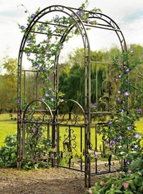 欧式铁艺拱门花架婚庆鲜花爬藤架户外庭院铁线莲拱形月季牵引支架