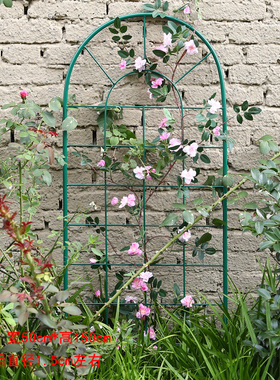 爬藤花架屏风网格植物攀爬架子月季铁线莲园艺围栏花幕栅栏护栏