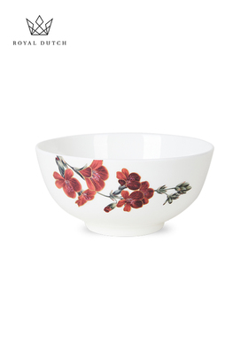 RoyalDutch皇家荷兰美术馆骨瓷餐具碗盘饭碗沙拉碗家用精致礼物