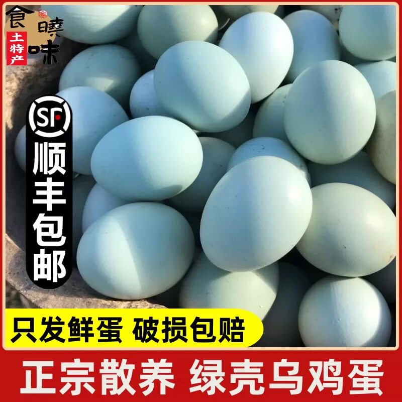 【顺丰包邮】绿壳乌鸡蛋新鲜鸡蛋正宗散养农家柴草绿皮土鸡蛋整箱