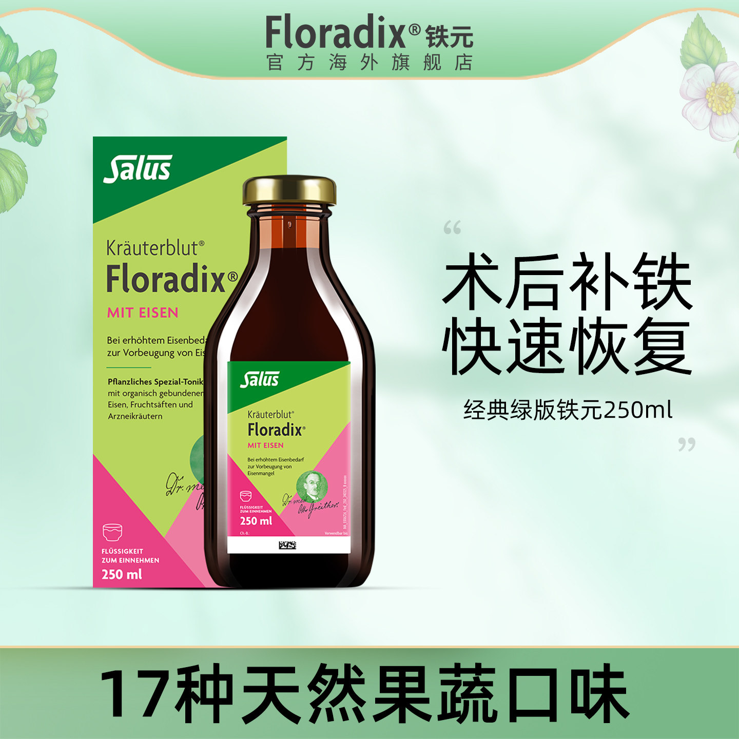 Floradix 德国绿版铁元补铁铁剂调气养血术后食品营养品250ml