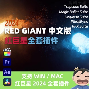 WIN 达芬奇红巨星全套插件Red 2024汉化中文版 MAC Giant