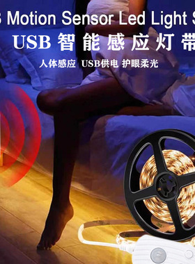 USB插电款人体感应5V防水led2835灯带自粘智能LED灯条衣柜橱柜灯