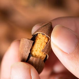 开口香榧【袋装500克】枫桥老何香榧  2025年新货  净含量500克