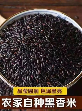 东北黑米农家新货自产新米黑香米粥五常黑米大米杂粮多规格可选
