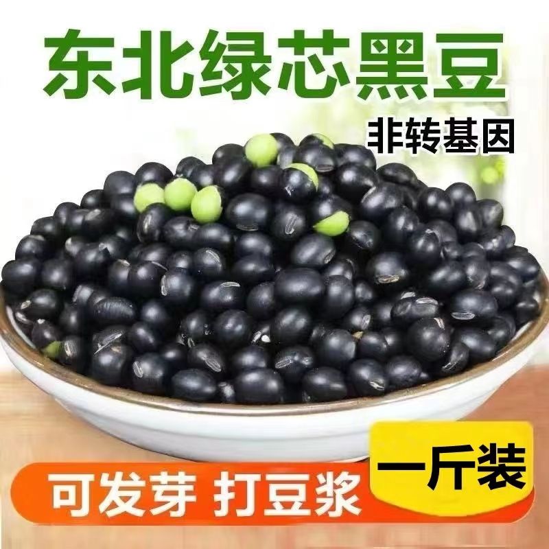 东北农家 新货绿芯黑豆打豆浆专用乌豆 青仁自种绿芯黑豆多规格可