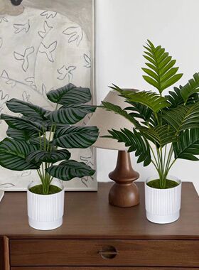 仿真绿植盆景北欧龟背假绿植盆栽客厅ins风装饰品桌面家居小摆件