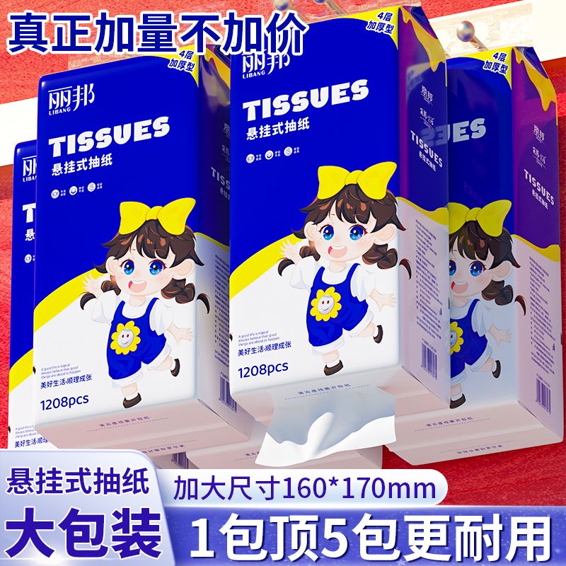 6大提丽邦提挂式抽纸悬挂抽取式卫生纸家用擦手纸厕纸大包平板纸