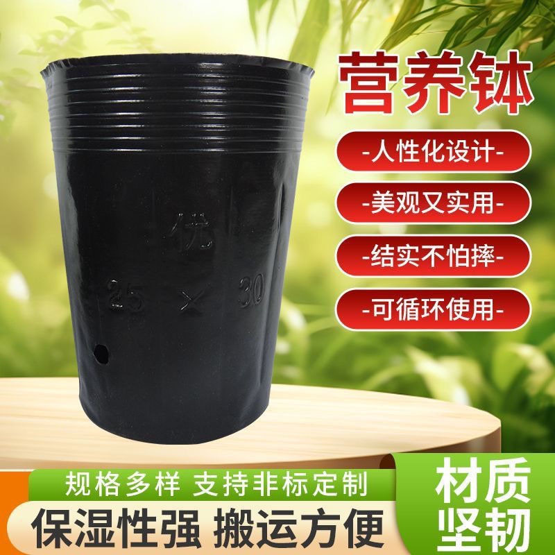 槟榔袋营养育苗杯加厚塑料盆一次性黑色树苗营养袋塑料杯简易花盆