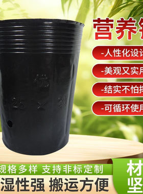槟榔袋营养育苗杯加厚塑料盆一次性黑色树苗营养袋塑料杯简易花盆