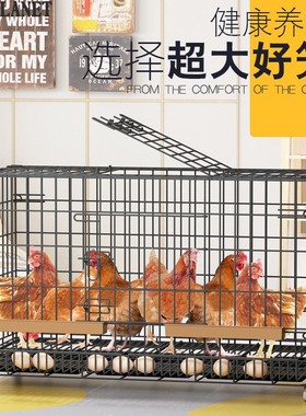 鸡笼子加粗大号家用养殖笼自动滚蛋折叠鸭笼狗笼鹅笼加固厂家直发