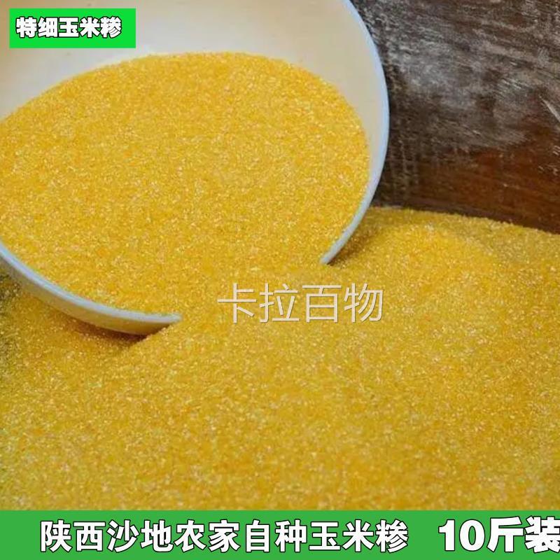 陕西特细玉米糁苞谷糁脱皮小碴子包谷饭新棒子面糊涂粥农家自种