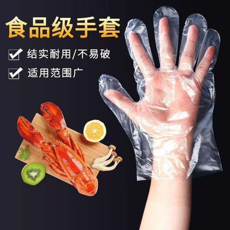 一次性透明PE塑料薄款厨房手套