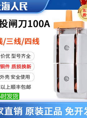 人民100A双投倒顺闸刀开关两相家用电源切换刀闸电动车转换电闸4P