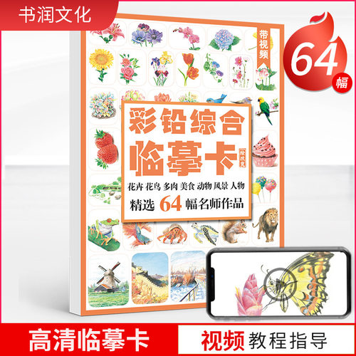 综合临摹彩铅花卉动物