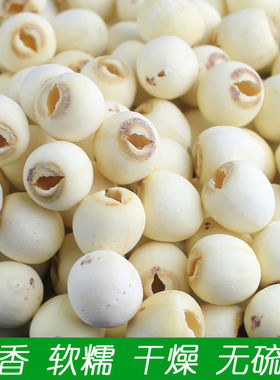 微山莲子干货特产无硫野生莲子无心莲子有心莲子新鲜磨皮白莲子