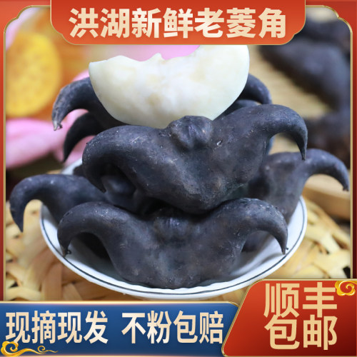 洪湖菱角新鲜粉糯甘甜营养