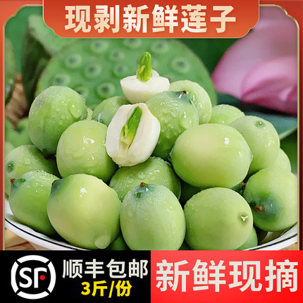 洪湖莲蓬现摘现剥新鲜甜嫩莲子米生吃新鲜水果当季3斤装