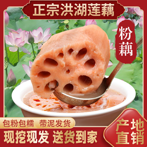 正宗洪湖莲藕煲汤粉藕新鲜现挖脆藕节野生九孔清水莲藕糯米藕