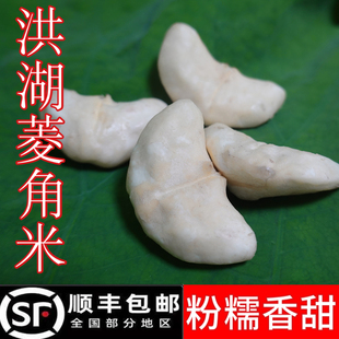 洪湖新鲜老菱角米湖北特产青黑棱角现摘去壳菱果棱实水栗子牛角果