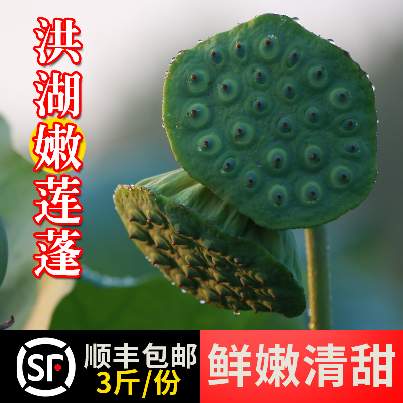湖北洪湖嫩莲蓬新鲜生吃莲子米嫩甜水果当季3斤现摘现发