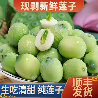 2025洪湖莲蓬米现摘现剥新鲜甜嫩莲子米生吃新鲜孕妇水果当季