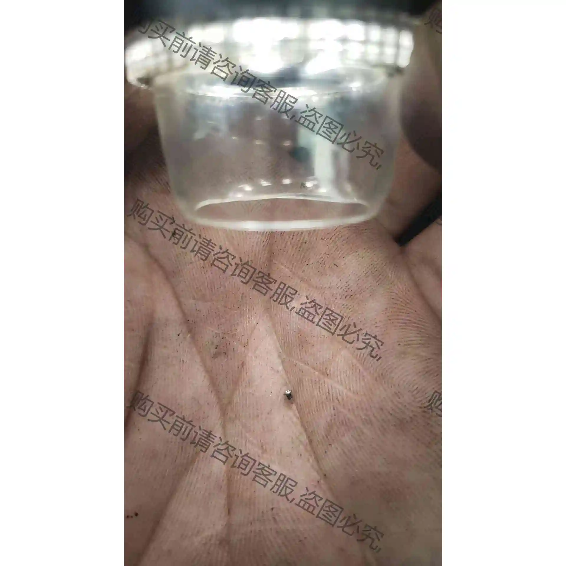 Dino-lite显微镜 AM5116ZT(R6) 灯光有强 议价产品 原装拆机功能