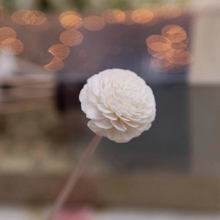 DIY香薰干花配件无火香薰挥发棒藤条藤球藤枝室内干花藤条配件