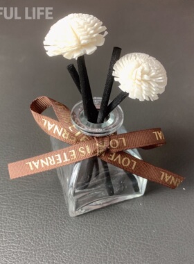 无火香薰diy空瓶挥发工具通草花pe花熏香民宿香水香薰摆件干花