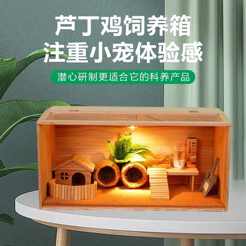 Разрушение коробки для размножения курицы, полная клетки для домашних животных, куриное гнездо с курицей