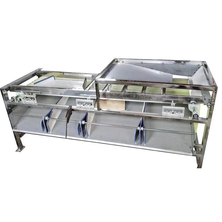 家用桔子分拣机 山竹分选机 西红柿筛选机器软包装不伤果