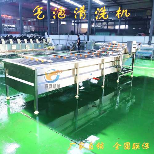 现货销售定制款新疆大枣清洗设备 连续式和田大枣水浴气泡清洗机