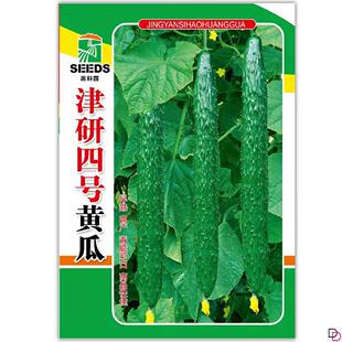 新津研四号黄瓜种子青皮绿肉高产早熟刺黄瓜盆栽菜园种植蔬菜种子