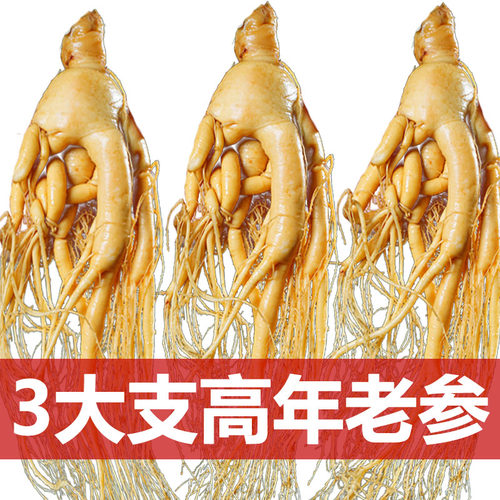 长白山特大号人参泡酒专用煲汤参