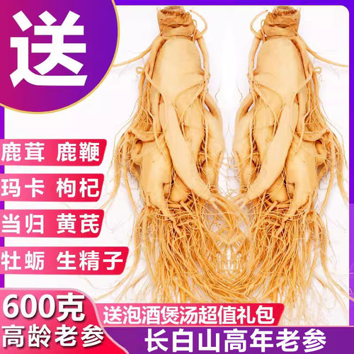 长白山人参鲜人参煲汤泡酒保鲜参