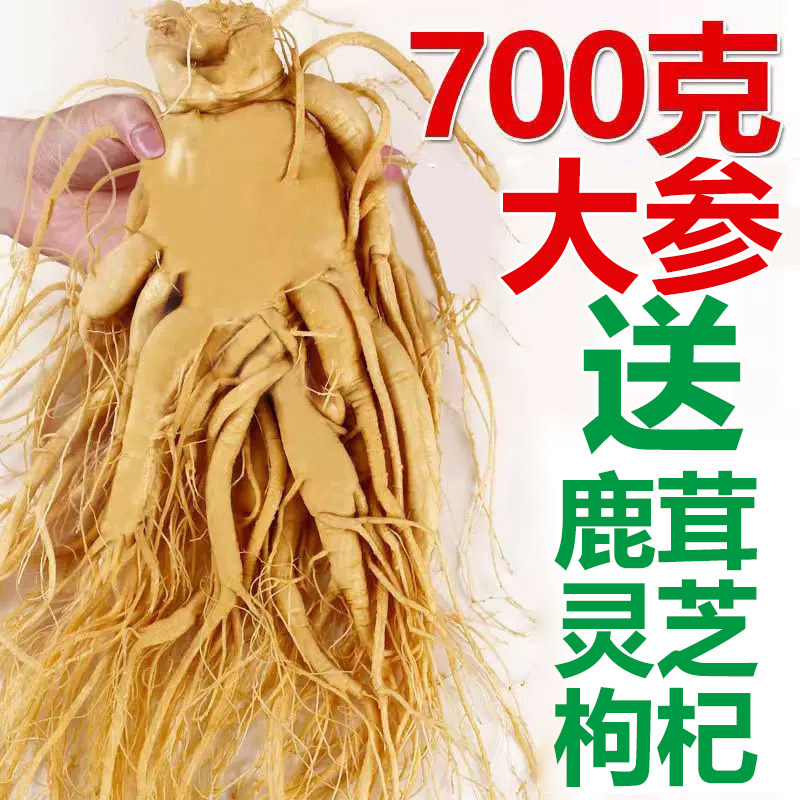 【长白山整枝鲜人参】正宗东北高品质老参煲汤泡酒专用新鲜包邮原