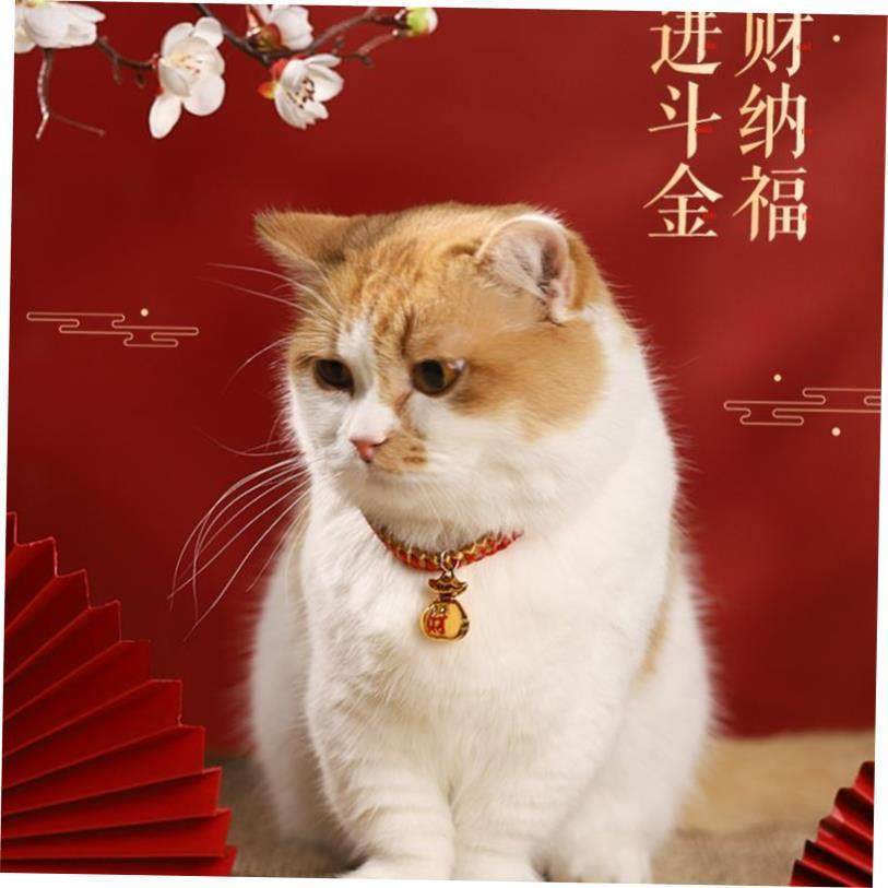Pet dog collar cat collar bell necklace accessories项圈猫