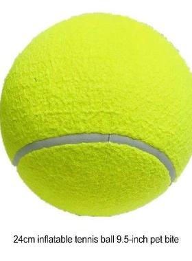 Interactive Tennis Ball Pet Entertained For Hours With