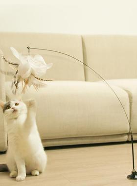 Simulation Bird interactive Cat Toy Funny Feather Bird with