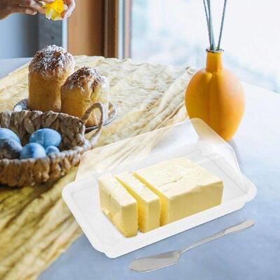 Butter Box Container Crisper Vintage Keeper Plastic Case