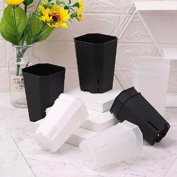 Gardening Succulents Octagonal square Pots Side Opening