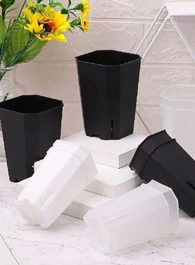 Gardening Succulents Octagonal square Pots Side Opening