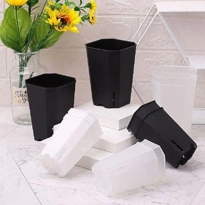Gardening Succulents Octagonal square Pots Side Opening