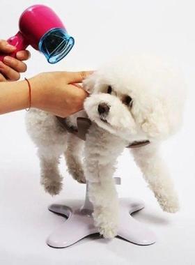 Pet Bath Fixer Pest Grooming Fixing Table Dogs Accessoires