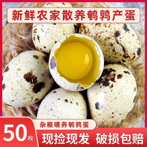 50枚正宗农家新鲜鹌鹑蛋杂粮生态