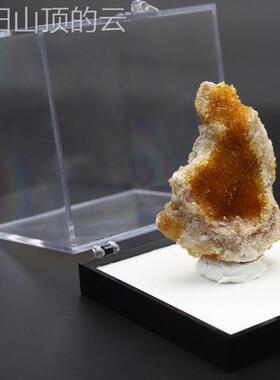 通用型家用矿标盒原矿物标收展藏示本盒身透明防尘胶防摔连塑式收