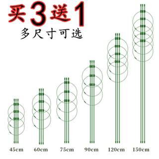 爬藤架子花支架月季花架植物盆室内花卉支撑杆园艺铁线莲攀爬架杆